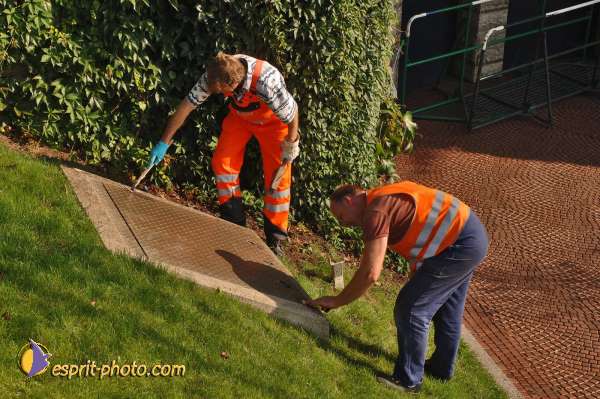 Nom de l'image : D2038317-1 — Description :