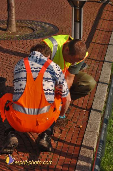 Nom de l'image : D2038318-1 — Description :