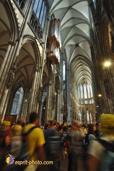 Nom de l'image : D2038779-1 — Description :