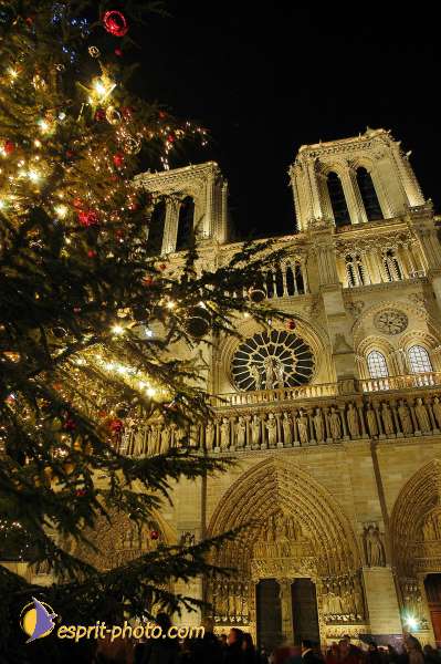 Nom de l'image : D1204303-1 — Description :  Lancement de JMJ 2005 de Cologne à ND de Paris