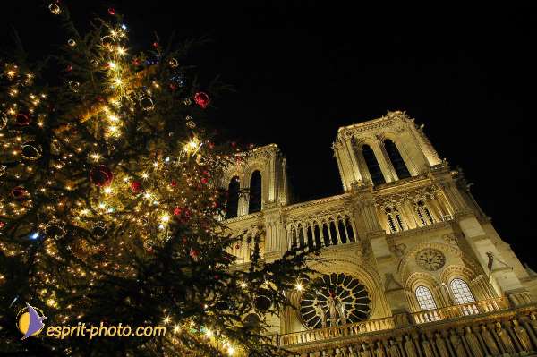 Nom de l'image : D1204308-1 — Description :  Lancement de JMJ 2005 de Cologne à ND de Paris