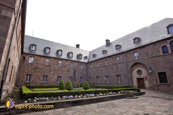 Nom de l'image : D2006651-1 — Description :