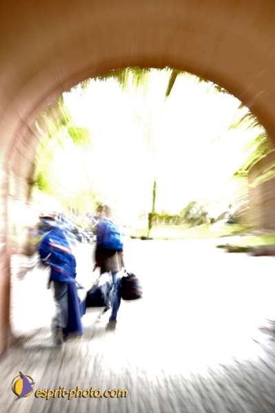 Nom de l'image : D2006665-1 — Description :