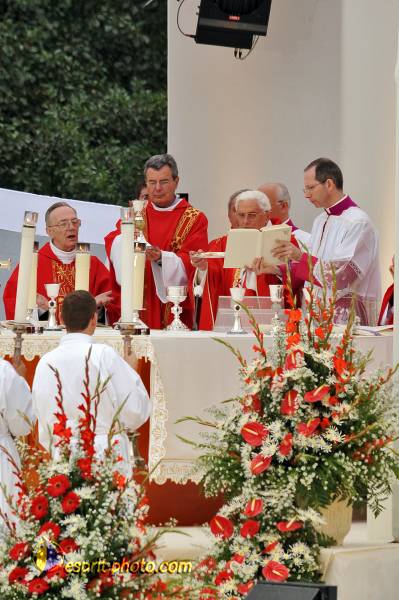 Nom de l'image : PBxvi_5047_D30026755_1 — Description :  D30026755.JPG