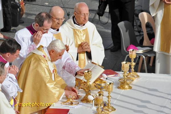 Nom de l'image : PBxvi_7942_D30029500_1 — Description :