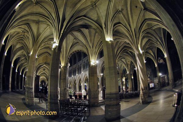 Nom de l'image : D2001211-1 — Description :