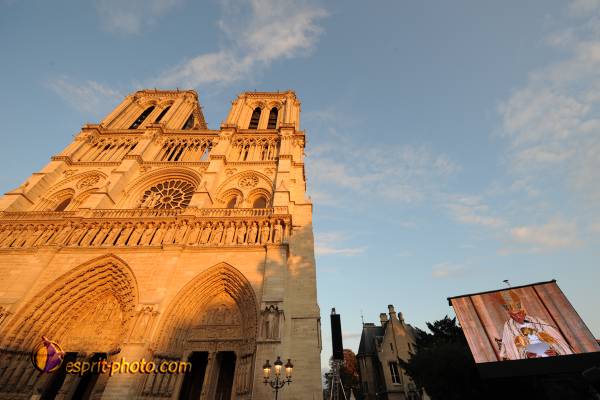 Nom de l'image : 1162D30024009 — Description :