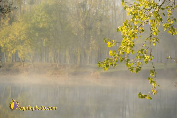 Nom de l'image : D30082690_1 — Description :