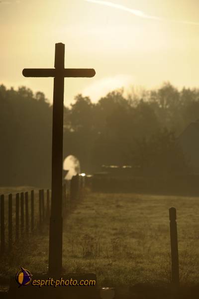 Nom de l'image : D30082707_1 — Description :