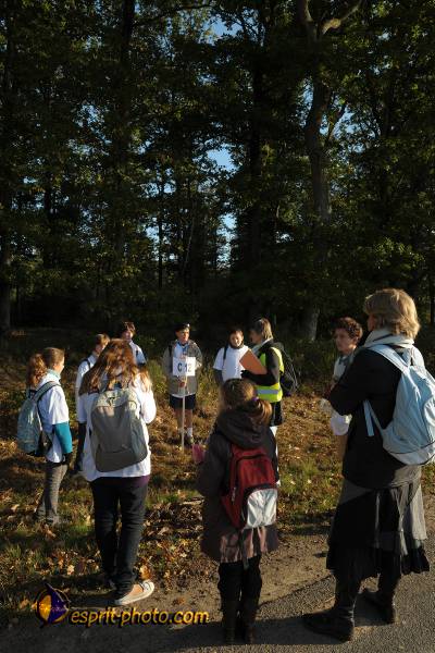 Nom de l'image : D30082945_1 — Description :