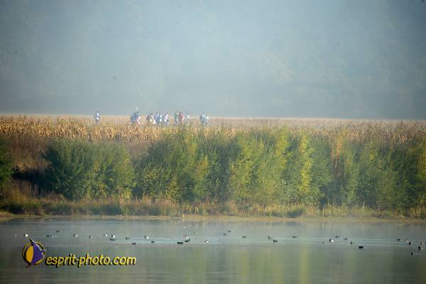 Nom de l'image : D30082990_1 — Description :