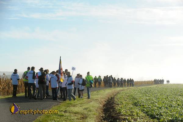 Nom de l'image : D30083036_1 — Description :