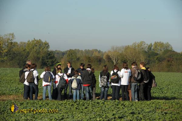 Nom de l'image : D30083069_1 — Description :