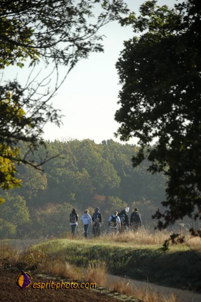 Nom de l'image : D30083142_1 — Description :