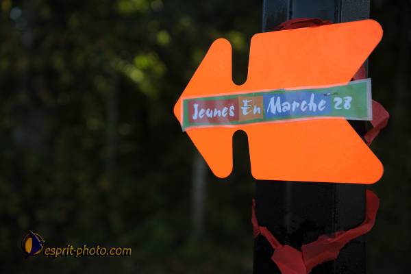 Nom de l'image : D30083161_1 — Description :