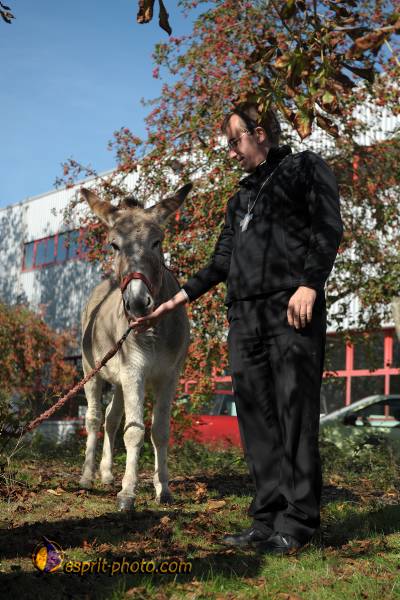 Nom de l'image : D30083727_1 — Description :