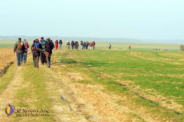 Nom de l'image : D1022489-01b — Description :  Pèlerinage des étudiants à Notre Dame de Chartres - 22+23 mars 2