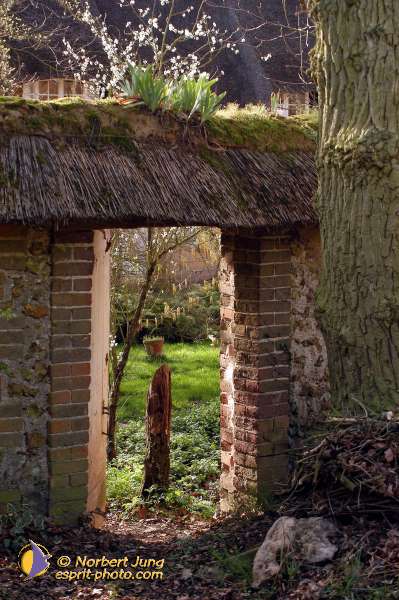 Nom de l'image : D1120017-01 — Description :