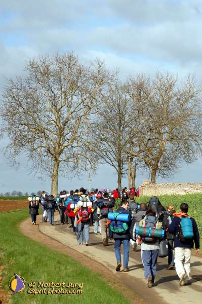 Nom de l'image : D1120079-01 — Description :