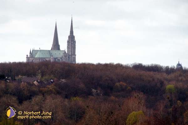 Nom de l'image : D1120179-01 — Description :