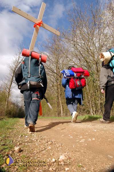 Nom de l'image : D1120194-01 — Description :