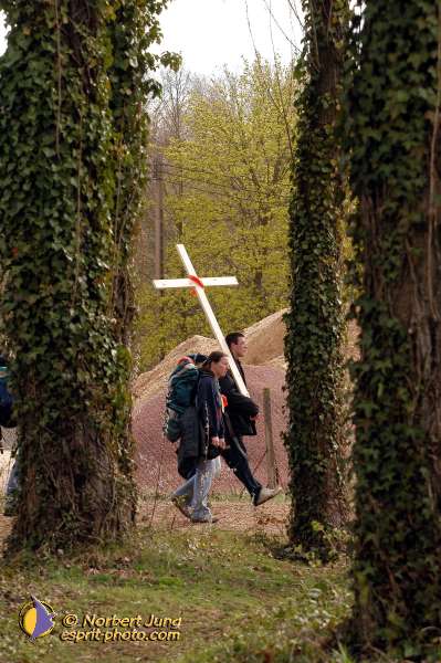 Nom de l'image : D1120248-01 — Description :