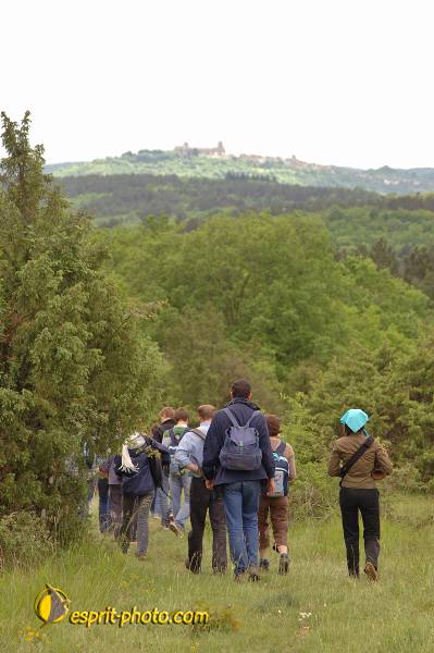 Nom de l'image : D2167120_1 — Description :