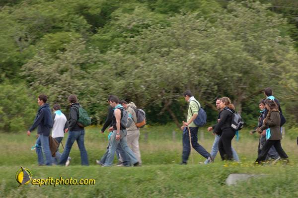 Nom de l'image : D2167175_1 — Description :