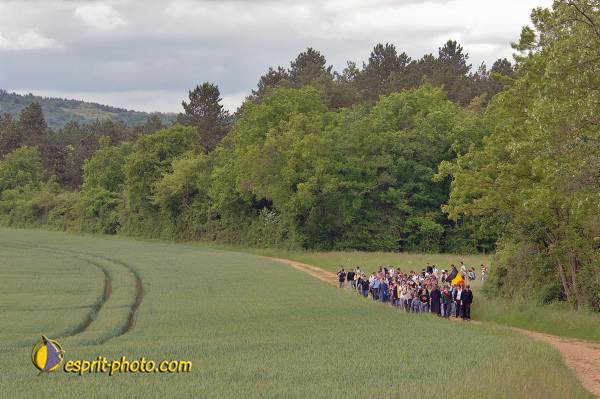 Nom de l'image : D2167312_1 — Description :