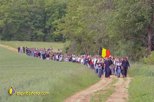 Nom de l'image : D2167323_1 — Description :