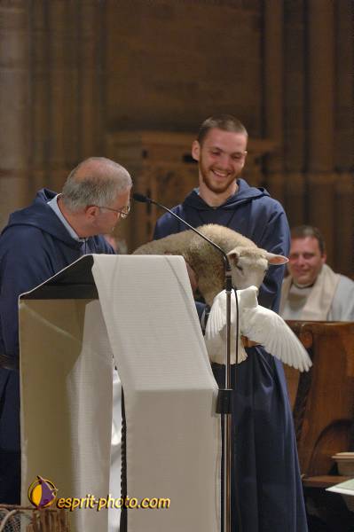 Nom de l'image : D2167891_1 — Description :