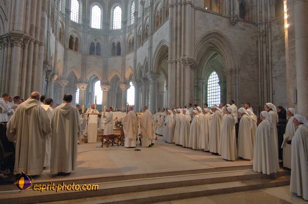 Nom de l'image : D2168253_1 — Description :