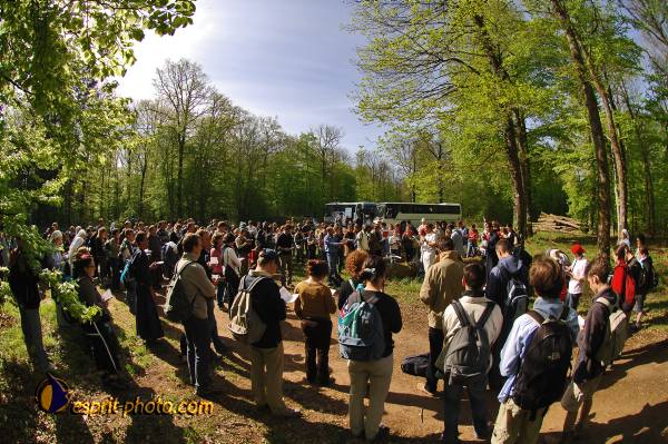 Nom de l'image : E2068390_1 — Description :  Routes de Vezelay 2008