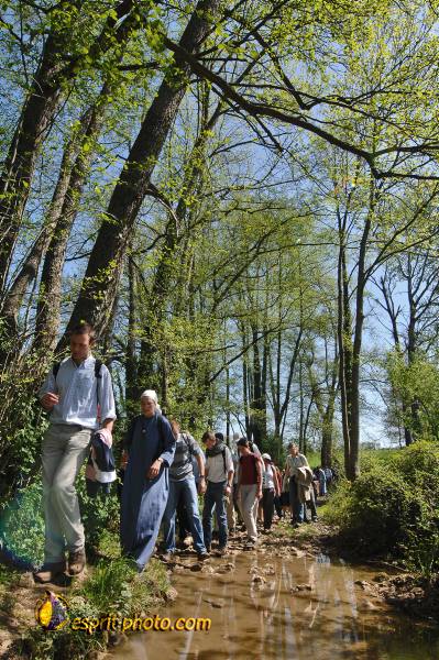 Nom de l'image : E2068465_1 — Description :  Routes de Vezelay 2008