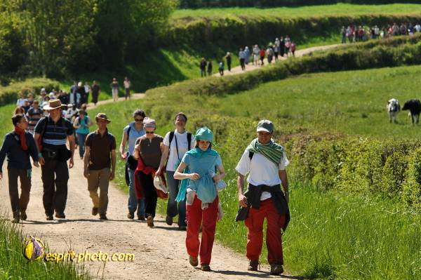 Nom de l'image : E2068483_1 — Description :  Routes de Vezelay 2008