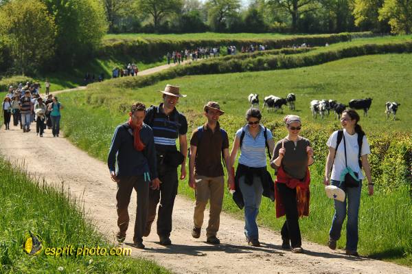 Nom de l'image : E2068487_1 — Description :  Routes de Vezelay 2008