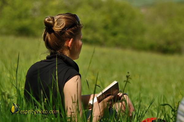 Nom de l'image : E2068646_1 — Description :  Routes de Vezelay 2008