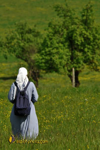 Nom de l'image : E2068667_1 — Description :  Routes de Vezelay 2008