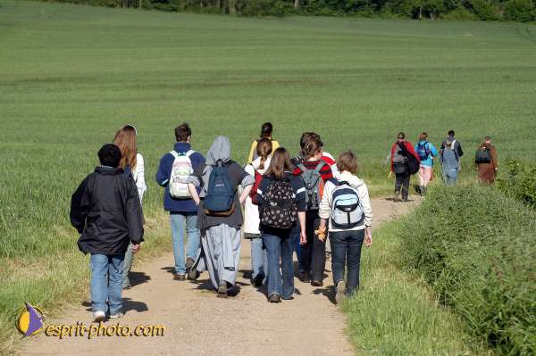 Nom de l'image : D1138156-01 — Description :