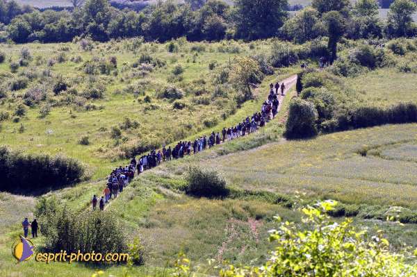 Nom de l'image : D1138566-01 — Description :