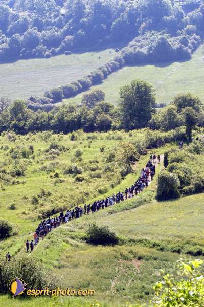 Nom de l'image : D1138567-01 — Description :