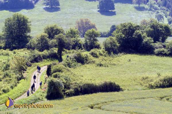 Nom de l'image : D1138589-01 — Description :