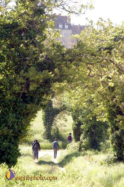 Nom de l'image : D1138602-01 — Description :