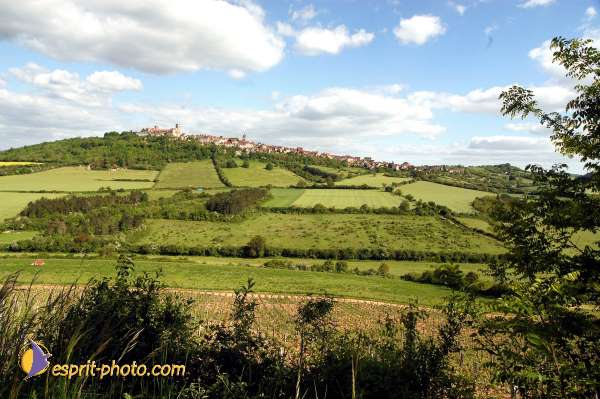 Nom de l'image : D1139598-01 — Description :