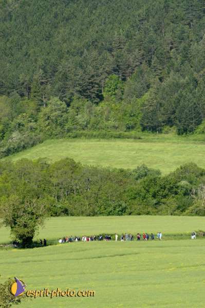 Nom de l'image : EG04005222-01 — Description :