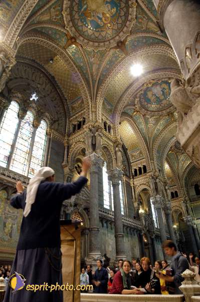 Nom de l'image : D1137143-01 — Description :