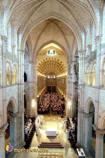 Nom de l'image : D1137889-01 — Description :