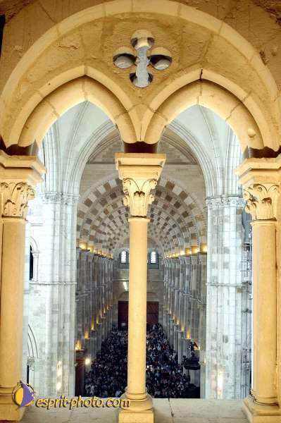 Nom de l'image : D1138737-01 — Description :