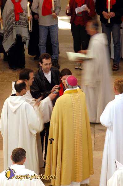 Nom de l'image : D1139178-01 — Description :