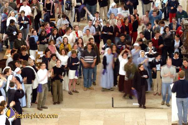 Nom de l'image : D1139446-01 — Description :